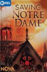 Saving Notre Dame Movie Streaming Online