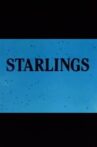Starlings Movie Streaming Online