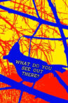 What Do You See Out There? Movie Streaming Online