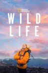 Wild Life Movie Streaming Online