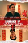 Abundance of Questions Movie Streaming Online