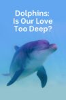 Dolphins: Is Our Love Too Deep? Movie Streaming Online