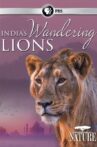 India's Wandering Lions Movie Streaming Online