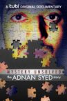 Mystery Unsolved: The Adnan Syed Story Movie Streaming Online