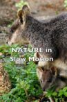 Nature In Slow Motion Movie Streaming Online