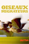 Oiseaux migrateurs : Sur les ailes du voyage Movie Streaming Online