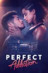Perfect Addiction Movie Streaming Online
