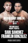 Saul Sanchez vs. Franklin Gonzalez Movie Streaming Online