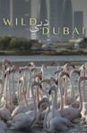 Wild Dubai Movie Streaming Online