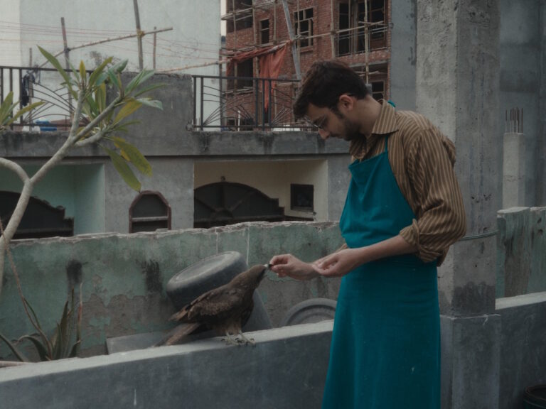 Shaunak Sen’s ‘All That Breathes’ Now Streaming On This OTT Platform