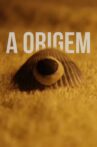 A Origem Movie Streaming Online