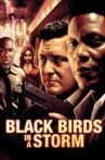 Black Birds in a Storm Movie Streaming Online