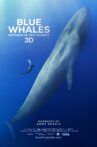 Blue Whales: Return of the Giants Movie Streaming Online