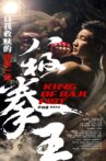八极拳王 Movie Streaming Online