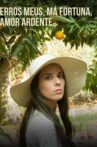 Erros Meus, Má Fortuna, Amor Ardente Movie Streaming Online