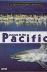 Miracle in the Pacific Movie Streaming Online