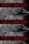 The Perfect Swan Song Movie Streaming Online