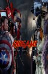 Endgame: Battle For The Multiverse Movie Streaming Online