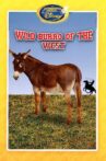 Wild Burro of the West Movie Streaming Online