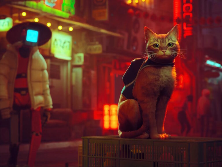 Stray Video Game To Get Animated Film Adaptation From Annapurna