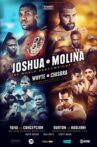 Anthony Joshua vs. Eric Molina Movie Streaming Online