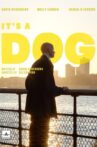 It's a Dog Movie Streaming Online