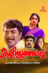 Kaliyoonjal Movie Streaming Online