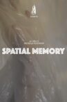 Spatial Memory Movie Streaming Online