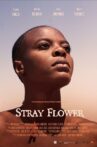 Stray Flower Movie Streaming Online
