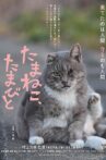 Tamaneko, Tamabito Movie Streaming Online