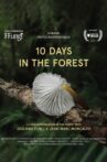 10 Days in the Forest Movie Streaming Online