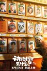 动物园里有什么？ Movie Streaming Online