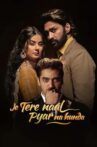 Je Tere Naal Pyar Na Hunda Movie Streaming Online