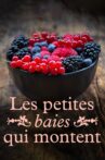 Les petites baies qui montent Movie Streaming Online