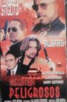 Negocios peligrosos Movie Streaming Online