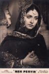Nek Pervin Movie Streaming Online