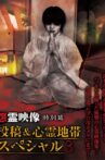 Onryō Eizō Tokubetsu-hen Tōkō & Shinrei Chitai Supesharu 3 Movie Streaming Online