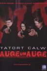 Tatort Calw: Auge um Auge Movie Streaming Online