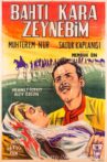 Zeynebin Aşkı Movie Streaming Online
