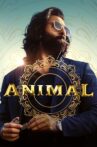 Animal Movie Streaming Online
