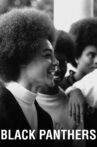 Black Panthers Movie Streaming Online