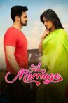 Fake Marriage Movie Streaming Online