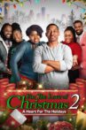 For the Love of Christmas 2: A Heart for the Holidays Movie Streaming Online