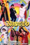 Naseeb Movie Streaming Online