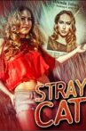 Stray Cat Movie Streaming Online