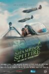 The Shamrock Spitfire Movie Streaming Online