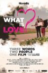 What is Love? Movie Streaming Online