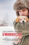 A Wonderful Life Movie Streaming Online