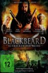 Blackbeard Terror at Sea Movie Streaming Online