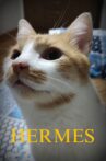 Hermes Movie Streaming Online